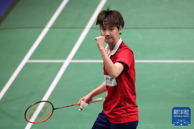 东道主的组 东道主的组